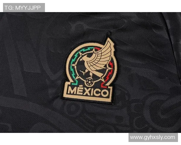 墨西哥足球国家队的辉煌历程与未来展望解析