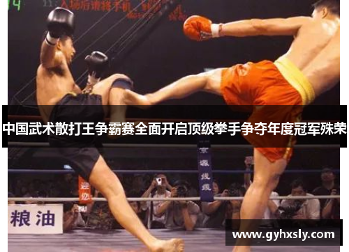 中国武术散打王争霸赛全面开启顶级拳手争夺年度冠军殊荣