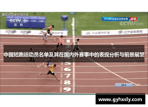 中国短跑运动员名单及其在国内外赛事中的表现分析与前景展望