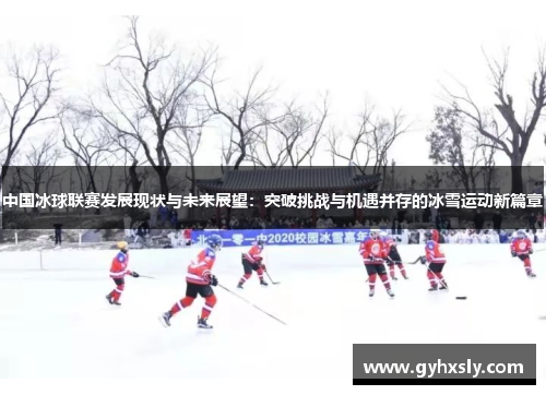 中国冰球联赛发展现状与未来展望：突破挑战与机遇并存的冰雪运动新篇章