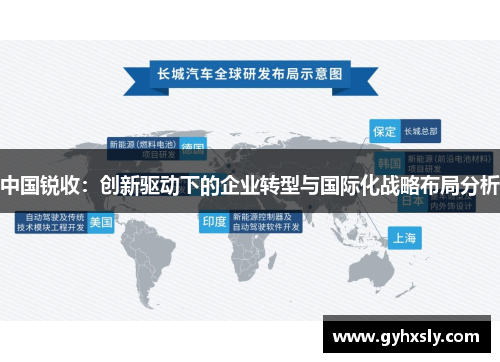 中国锐收：创新驱动下的企业转型与国际化战略布局分析