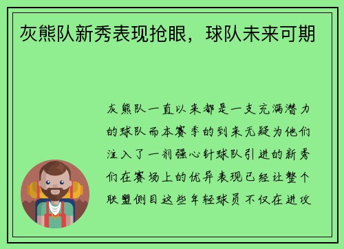 灰熊队新秀表现抢眼，球队未来可期