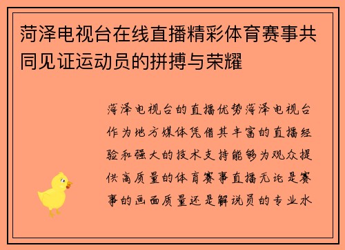 菏泽电视台在线直播精彩体育赛事共同见证运动员的拼搏与荣耀